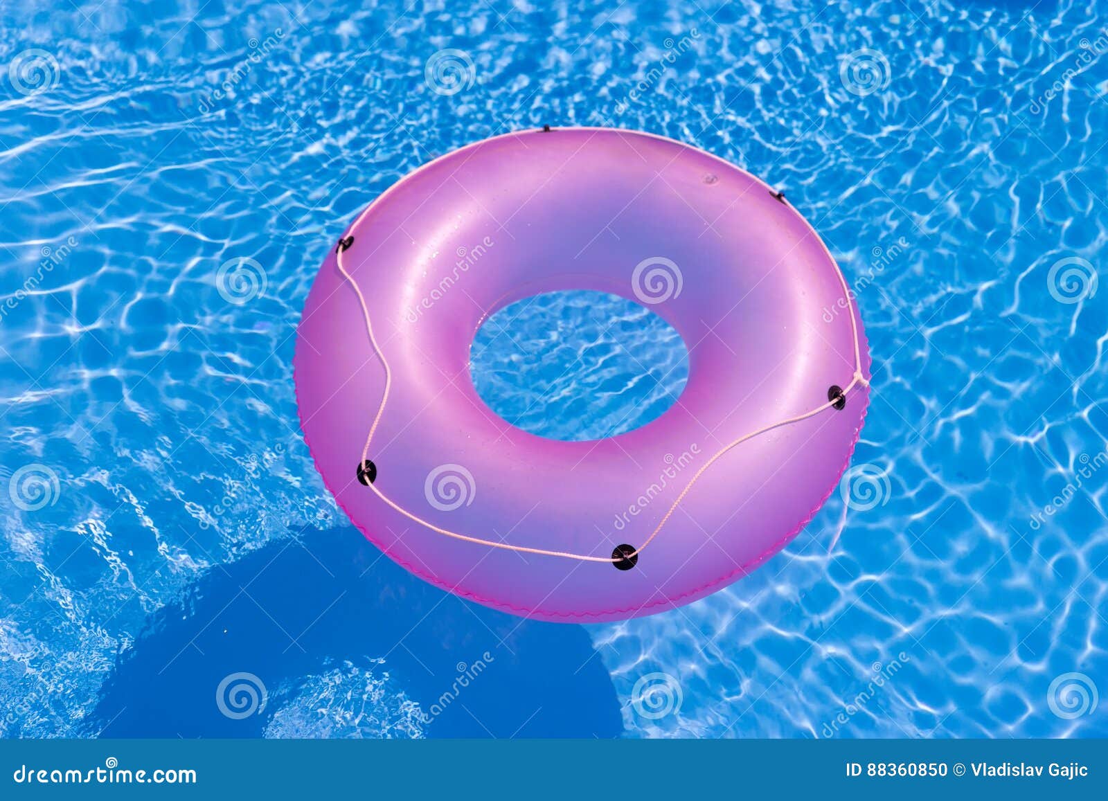 Rubber Ring in the Swimming Pool Stock Photo Image of rubber, rippled