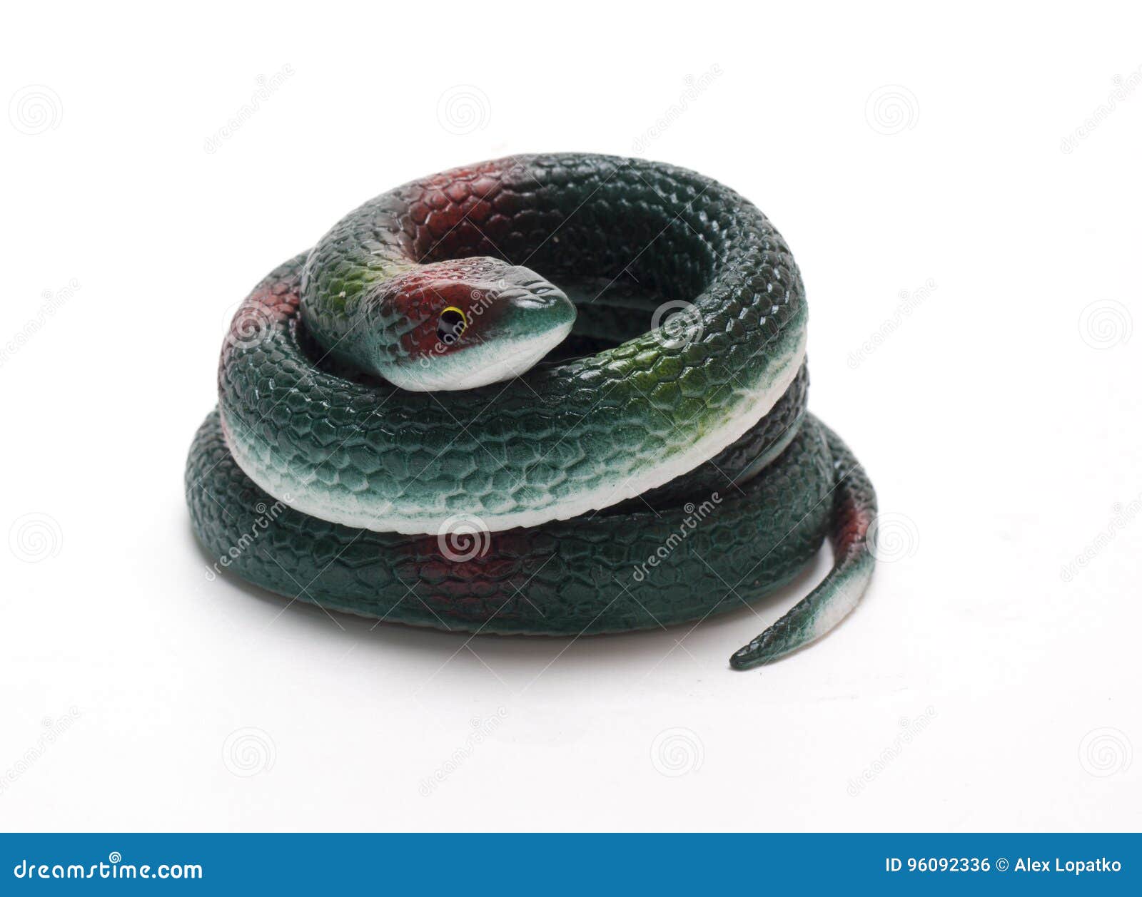 rubber snake on a white background