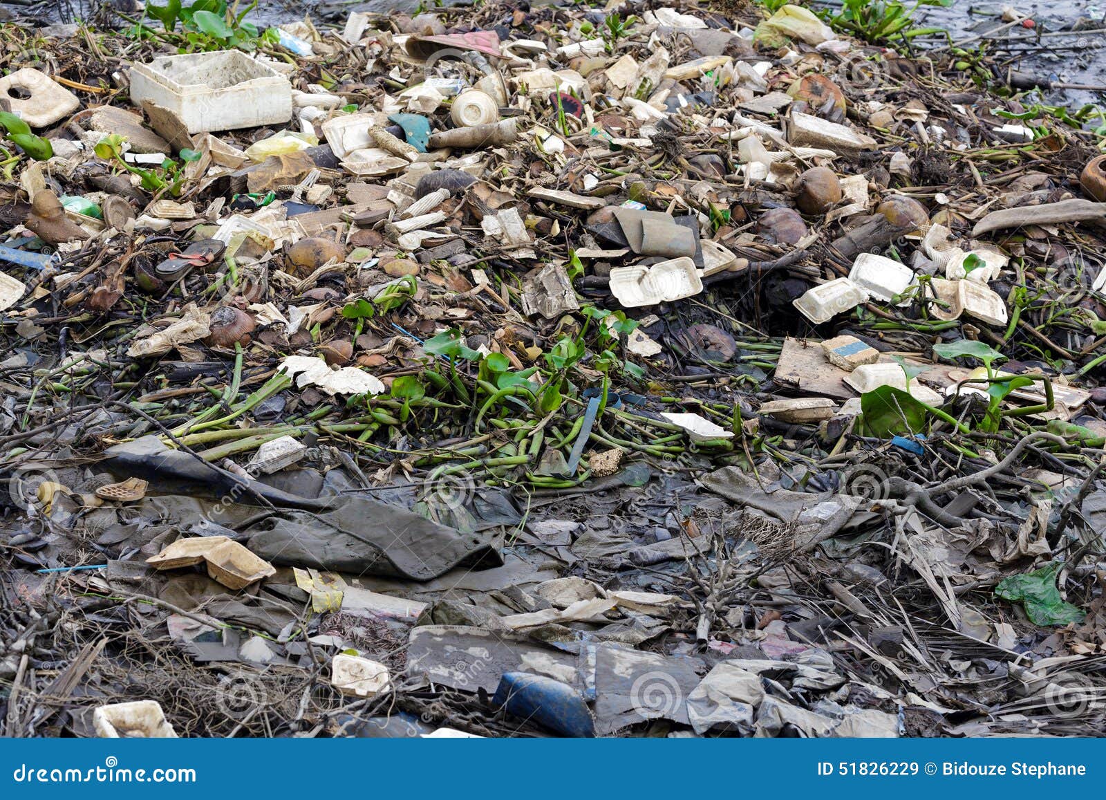 Rubbish Pollution on a River Bank Stock Image Image of environmental