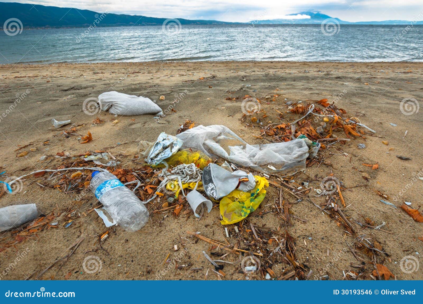 Rubbish on the Shores of an Ocean Stock Photo Image of coast