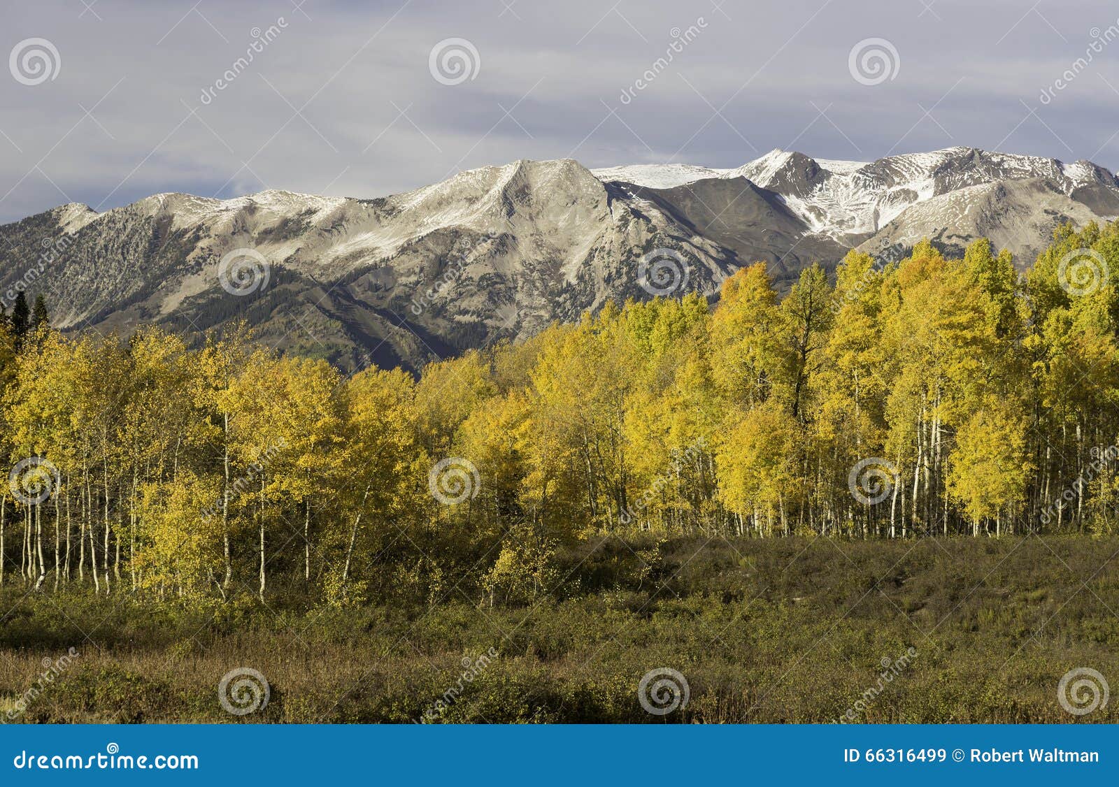 ruby mountain range by kebler pass colorado