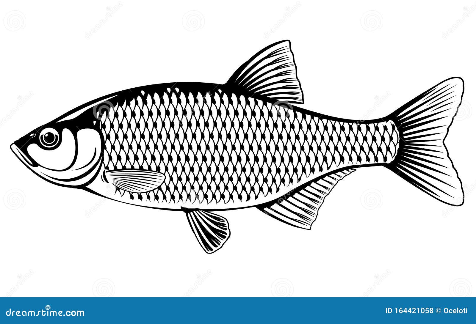 Featured image of post Fish Scales Drawing Find download free graphic resources for fish scales