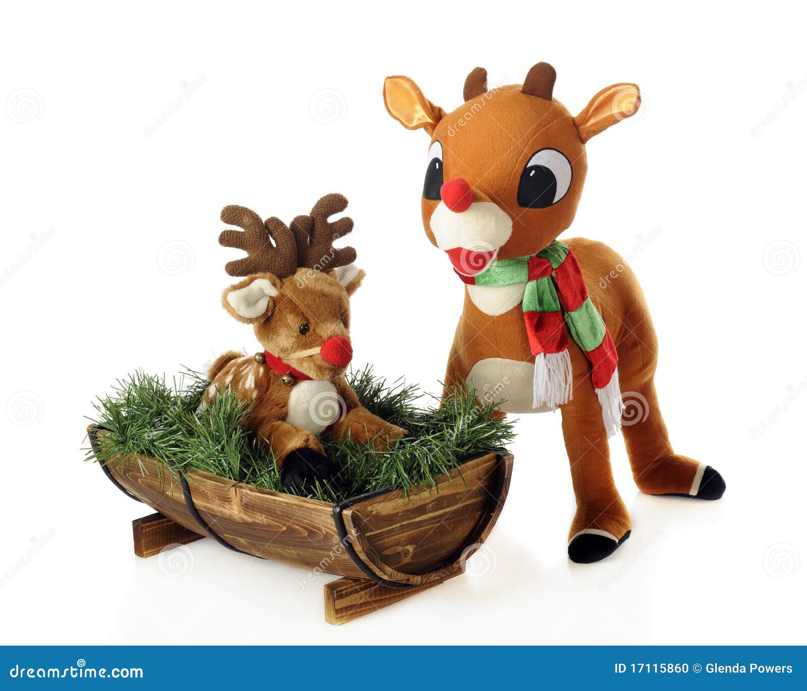 Rudolph and Son stock photo. Image of deer, xmas, isolated 17115860
