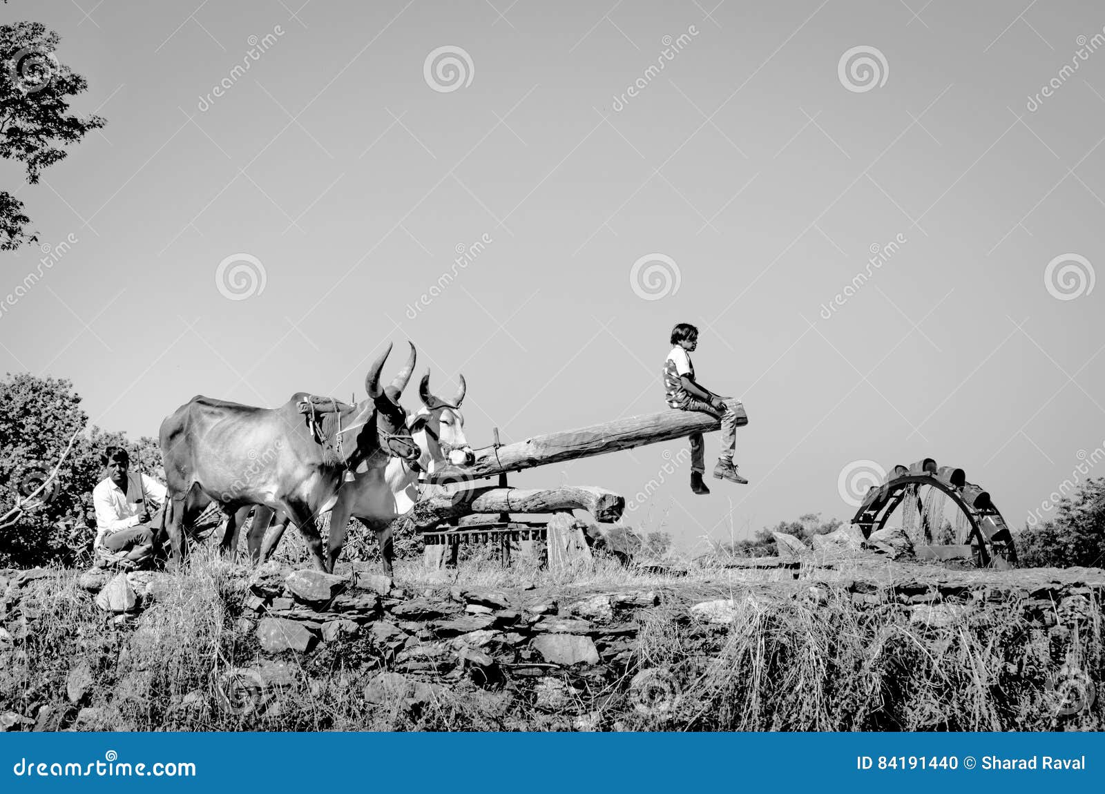 Rueda hidráulica antigua en Gujarat, la India. La rueda de agua todavía se utiliza en agricultura Con un mecanismo metálico grande al lado del camino conectado al parecer con una rueda de agua y un par de burro, los caballos o los bueyes se atan a la barra de acero hacen la rueda de agua Este tipo de rueda de agua se llama un sakia, o rueda persa aunque fuera inventado probablemente en la India alrededor de 300 A.C.