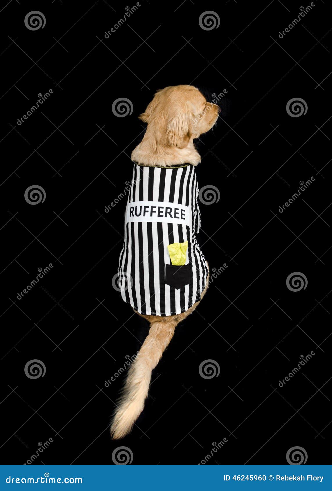 dog referee costume