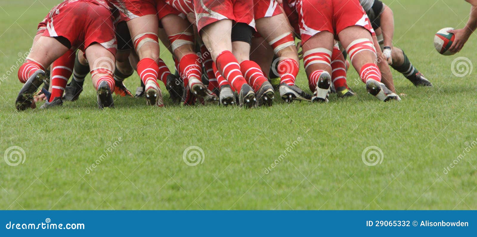 Rugby stock photo. Image of rough, team, scrum, sport 29065332