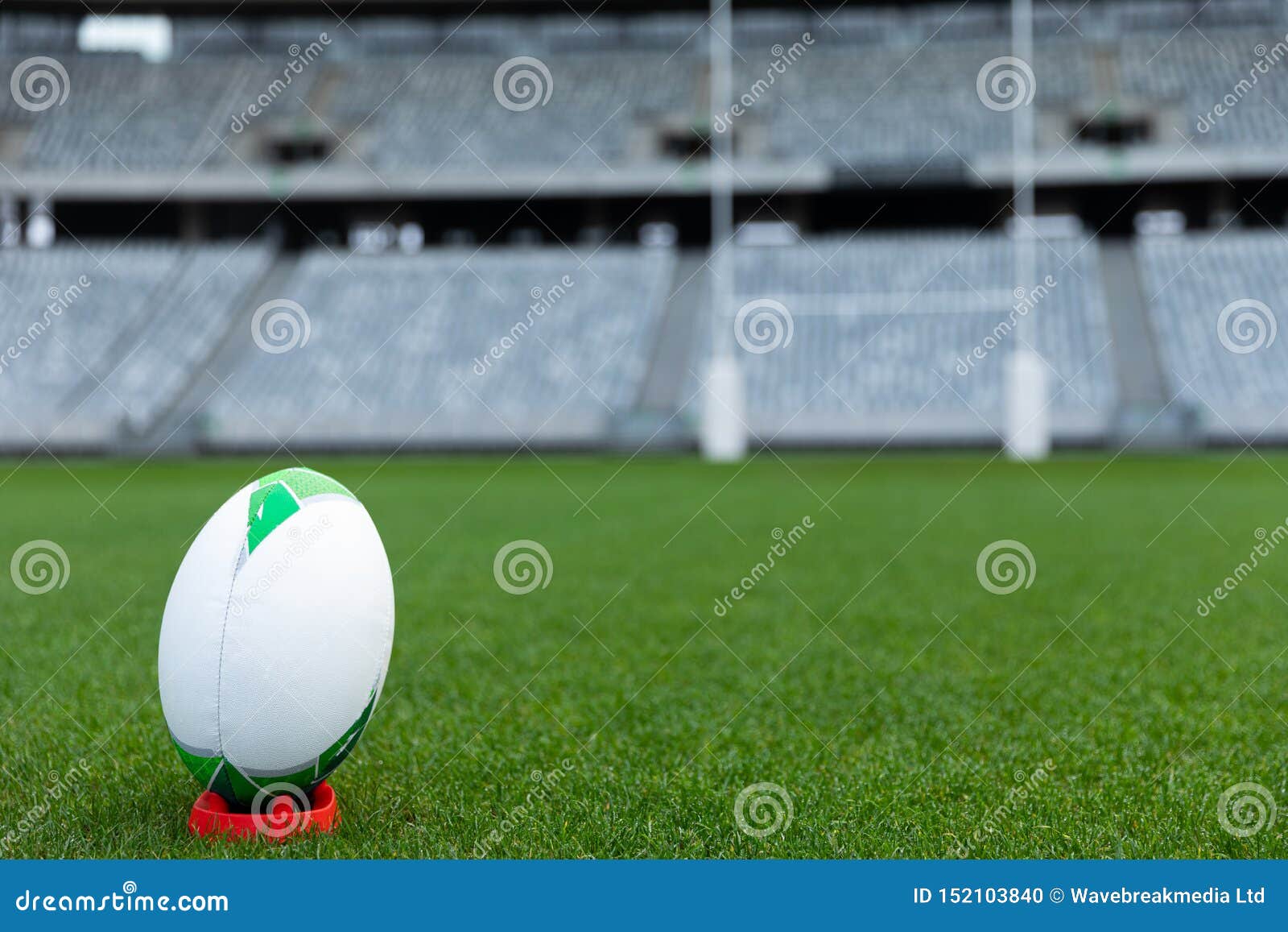 Rugby Ball on a Stand in Stadium Stock Photo Image of modern