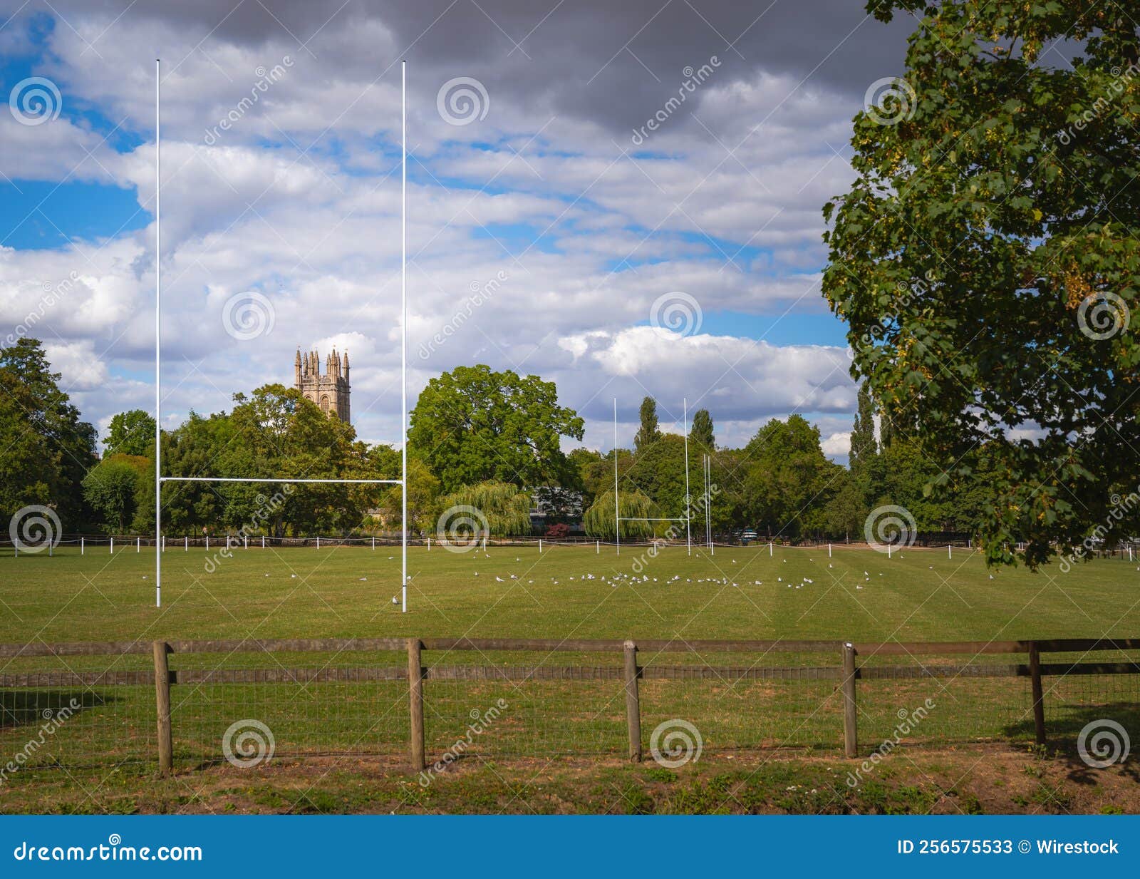 Rugby Goal Post in an Open Field Surrounded by Trees and a Cloudy Sky