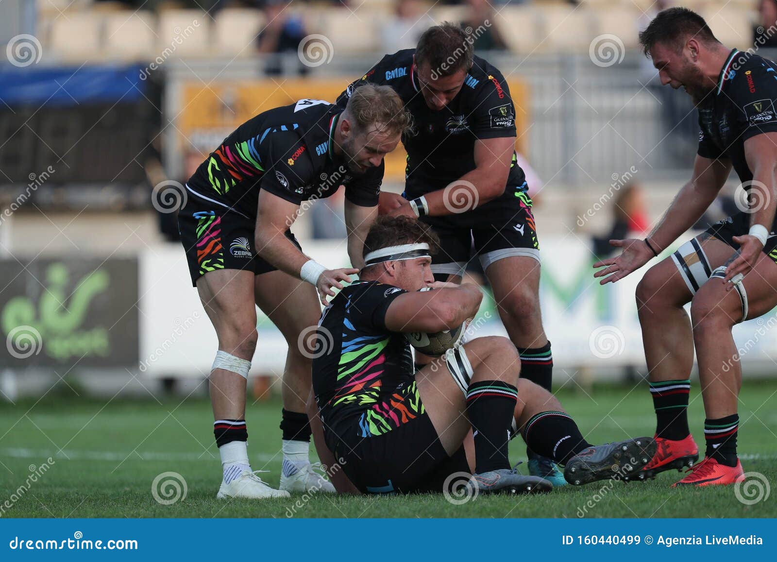 Rugby Guinness Pro 14 Zebre Rugby Vs Dragons Editorial Stock Image Image Of Guinness Sport