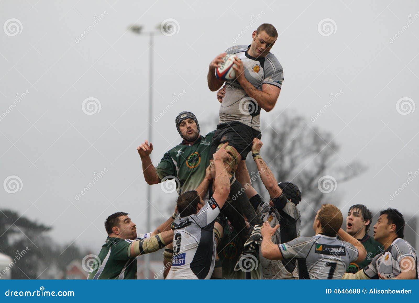 503 Rugby Line Out Stock Photos