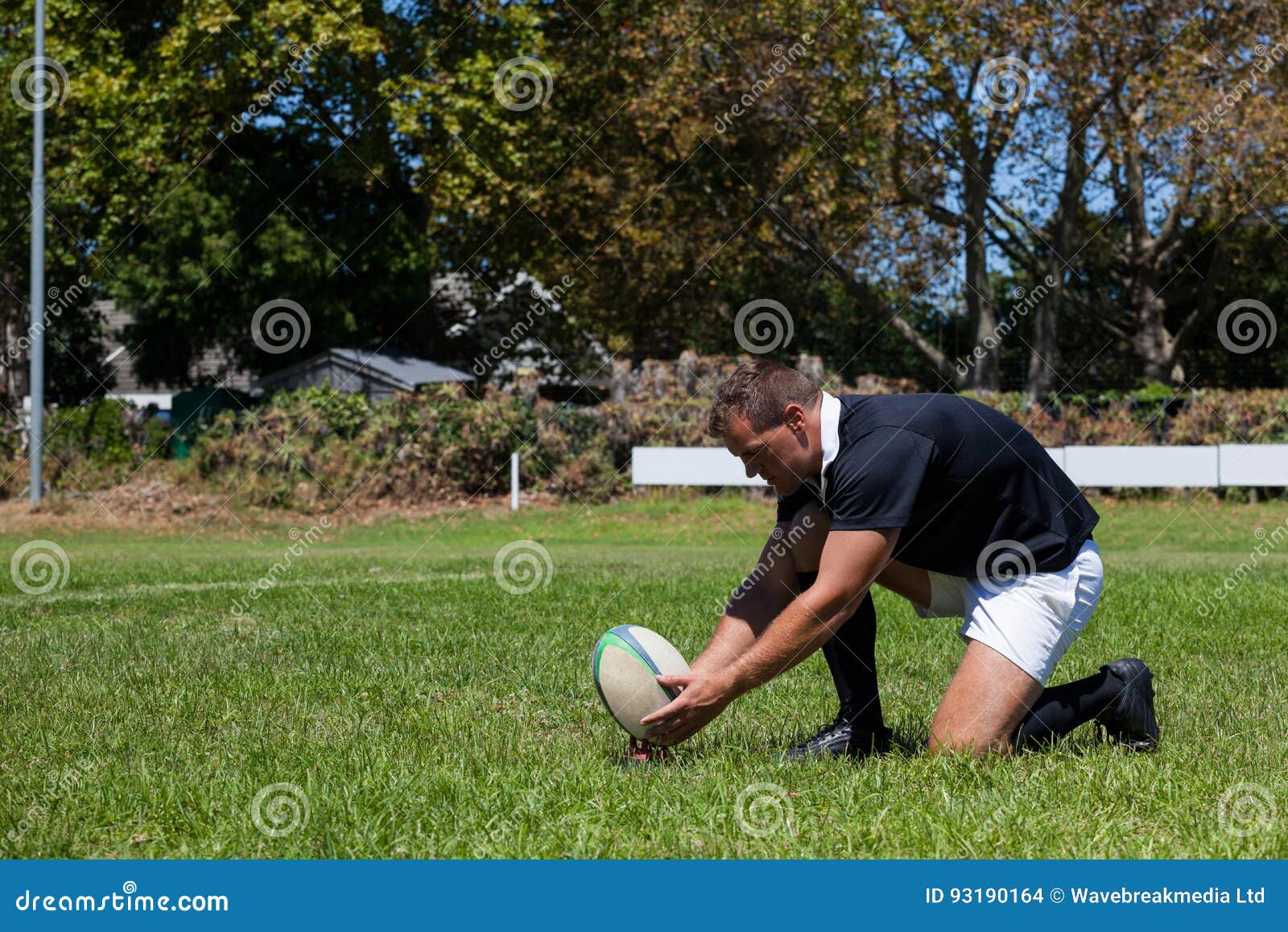 Rugby Player Playing with Ball on Field Stock Photo Image of athlete