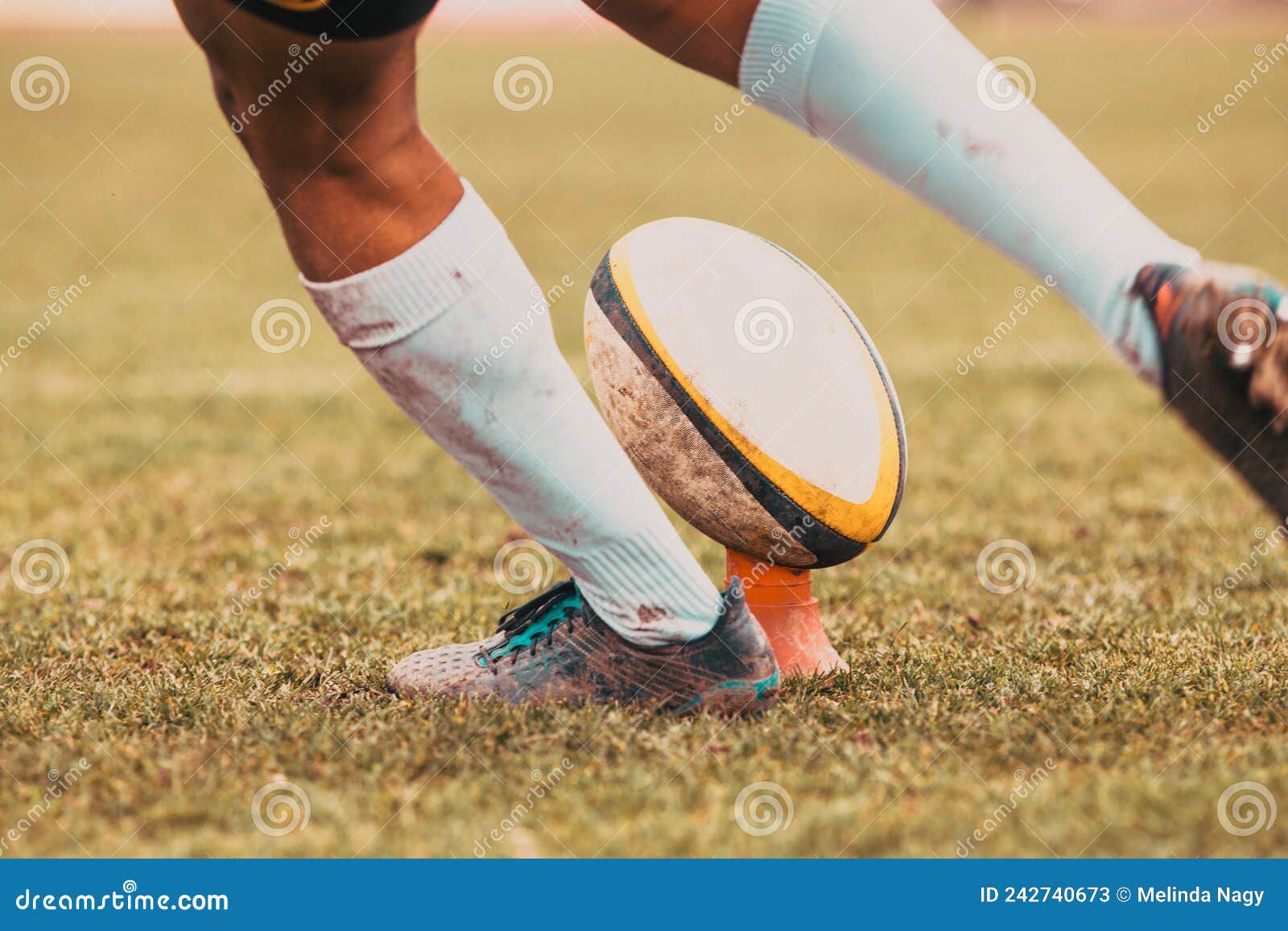 Rugby Player Preparing To Kick the Oval Ball during Game Stock Image