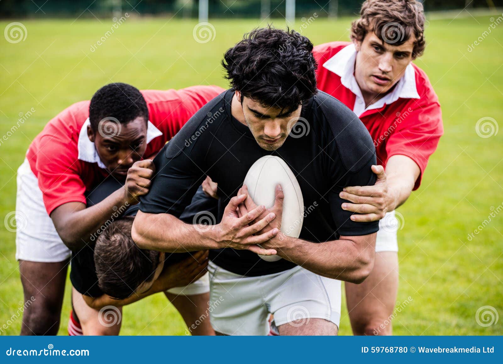 Rugby Players Tackling during Game Stock Photo Image of determination