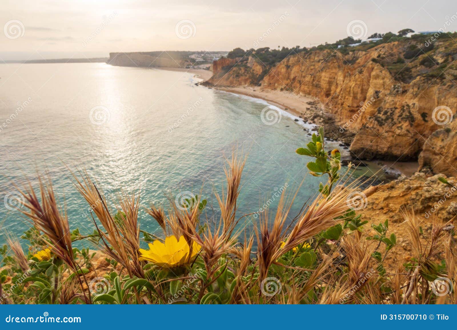 the rugged coastline at dawn, overlooking beach near lagos in the algarve, portugal