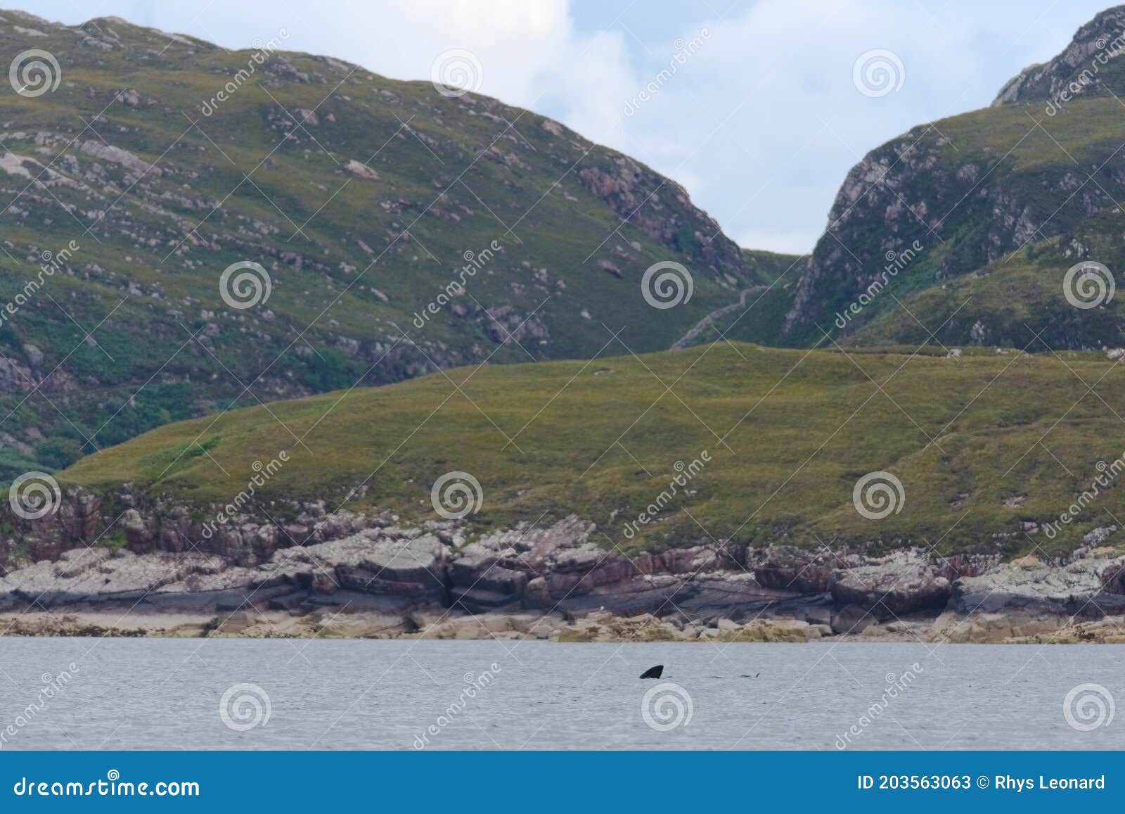 rugged isle of raasay landscape behind emerging basking shark fins