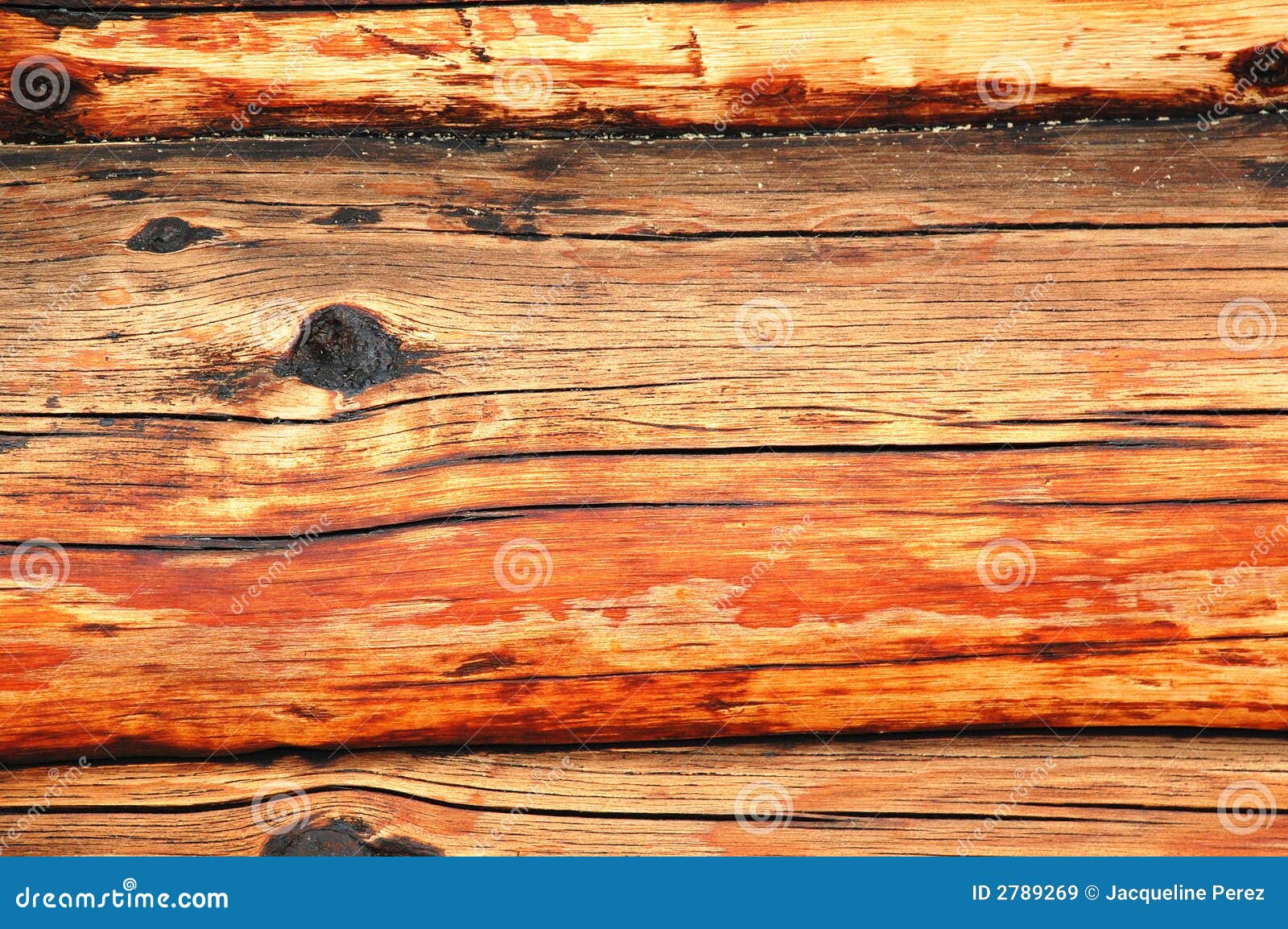 rugged log background