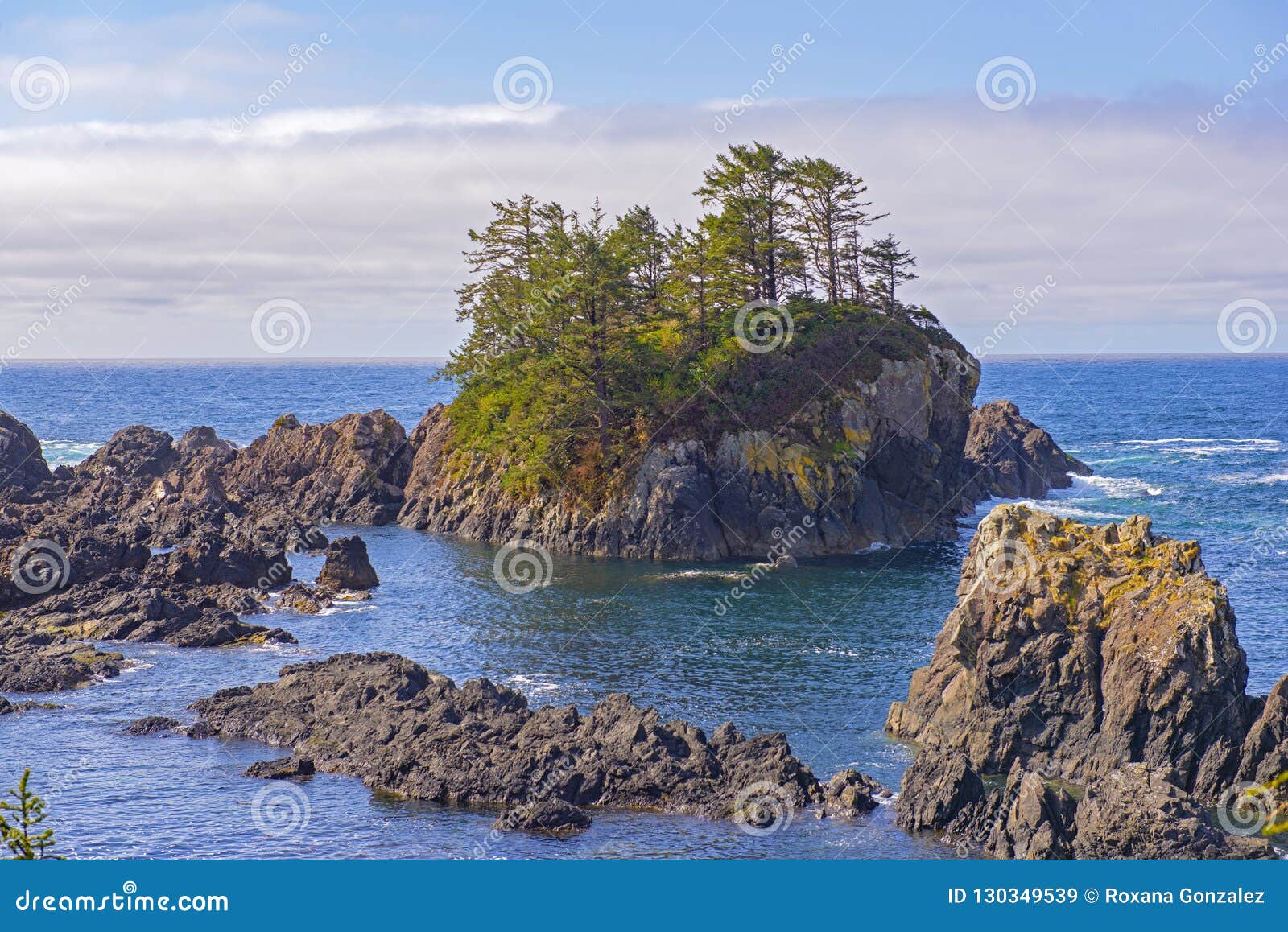 rugged shoreline of wild pacific trail in ucluelet, vancouver is