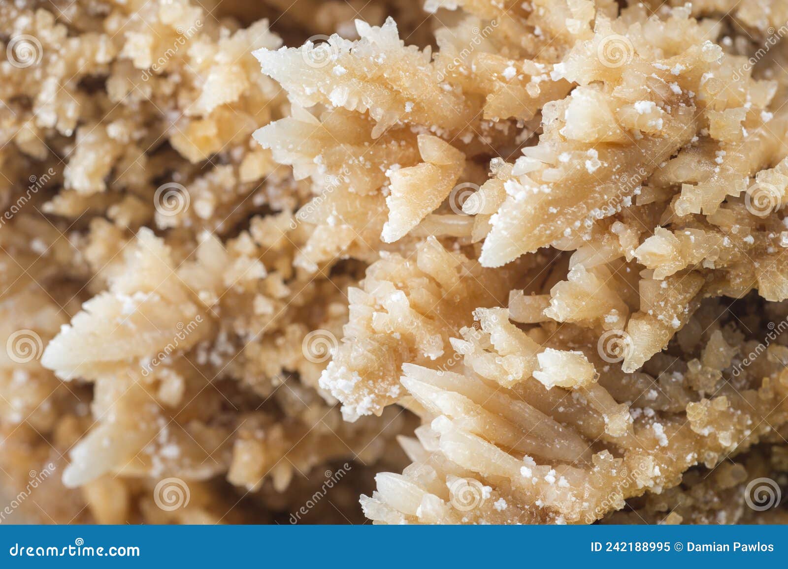 Chapter 5 Weathering and Soils, image size:1600x1157