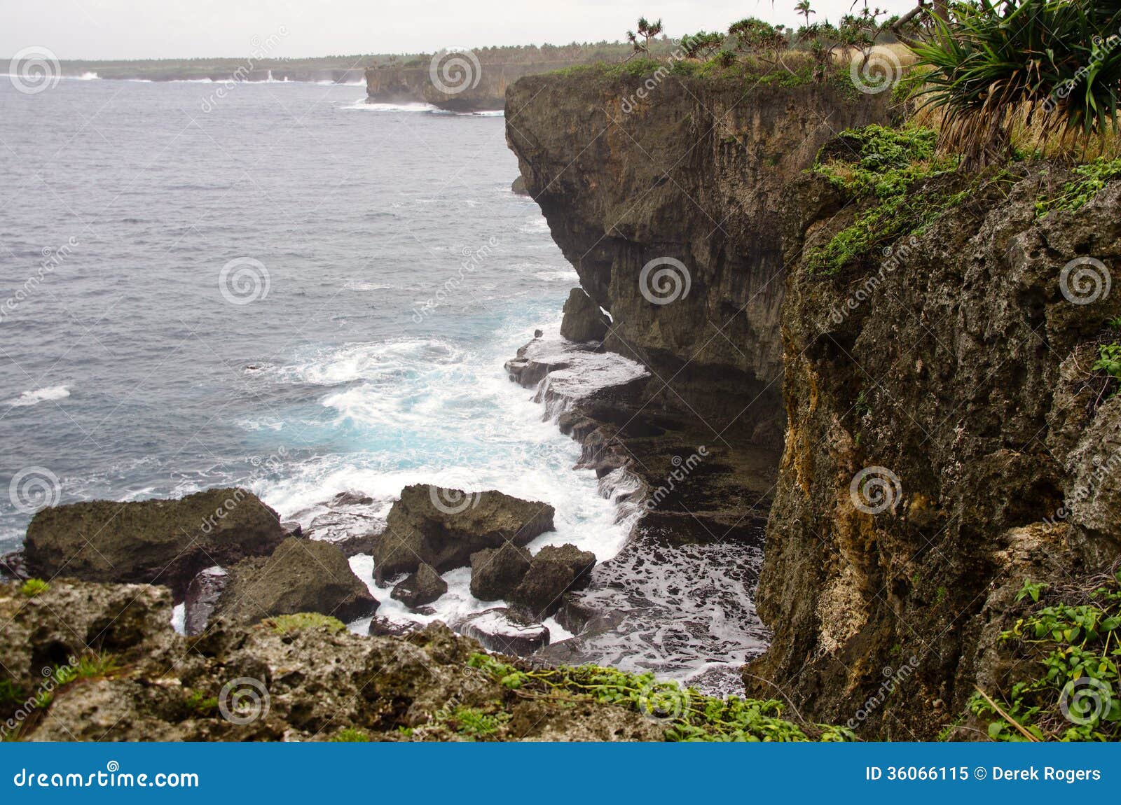 rugged tongan coastline