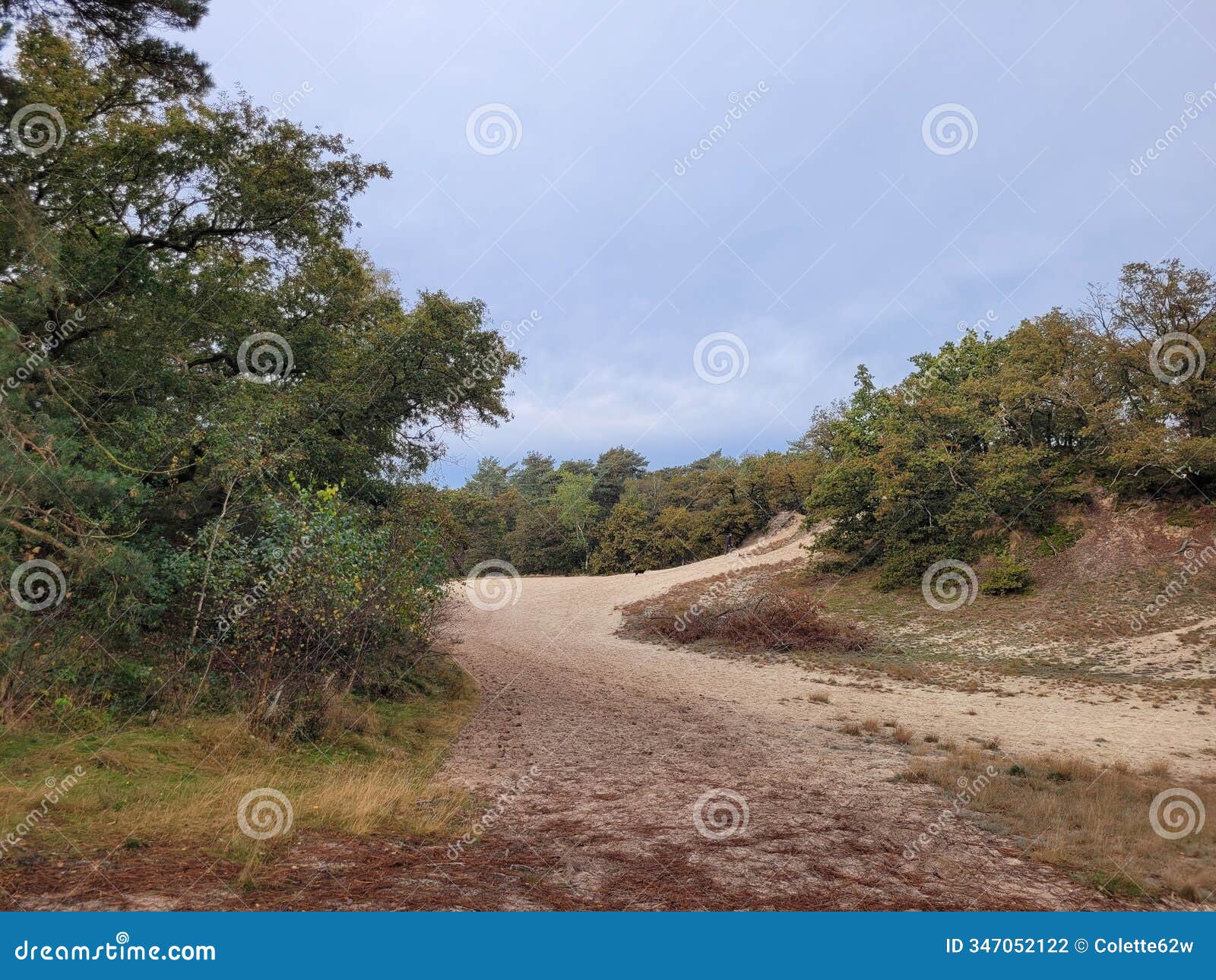 nationaal park de loonse en drunense duinen