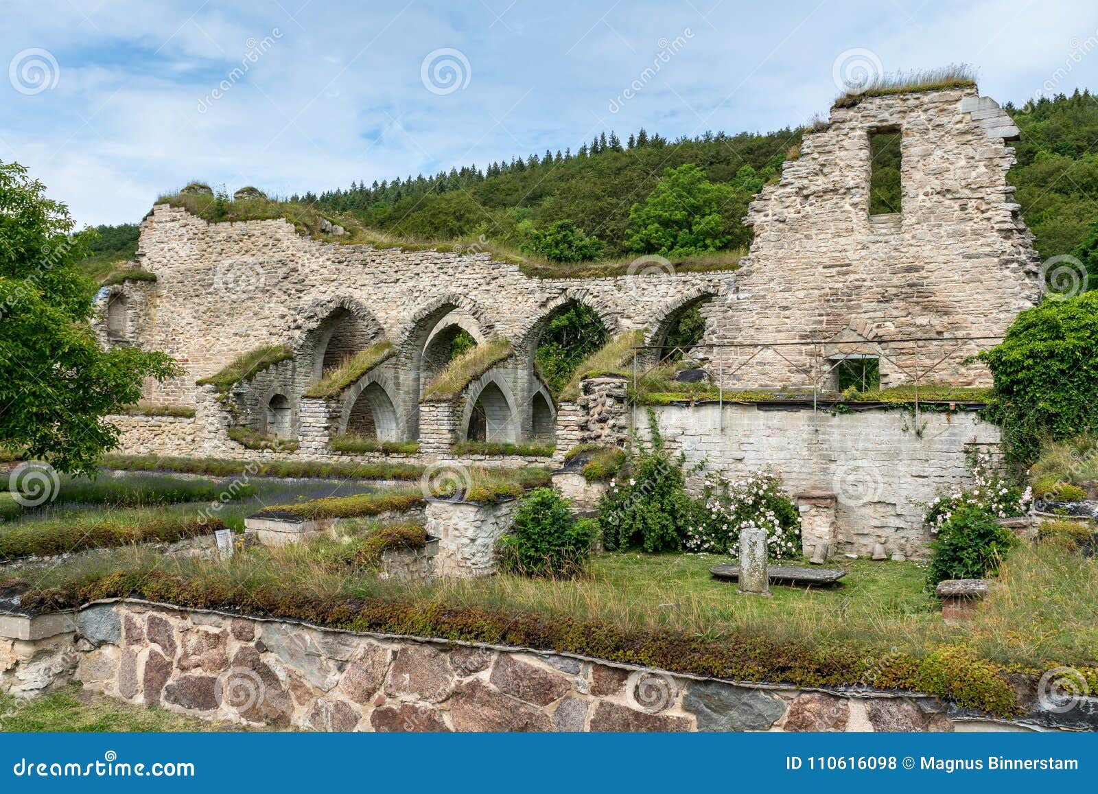 Ruin of Monastery from the Middle Ages with Nice Garden in the F Stock