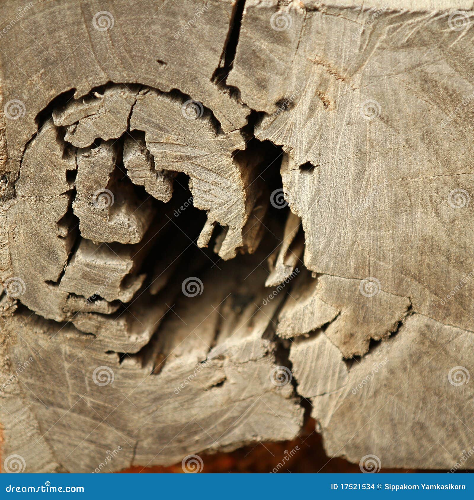 Ruin wood stock photo. Image of natural, close, pattern 17521534