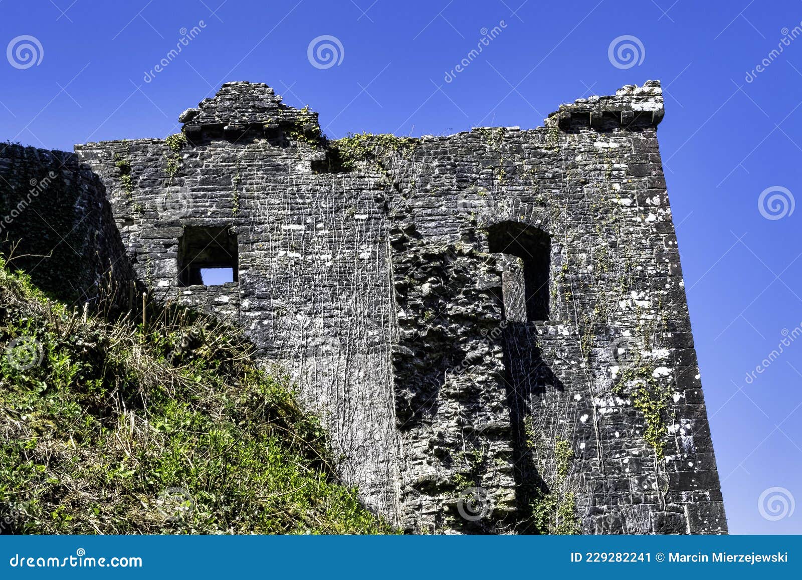 ruined dinefwr castle overlooking the river tywi - llandeilo, carmarthenshire, wales, uk