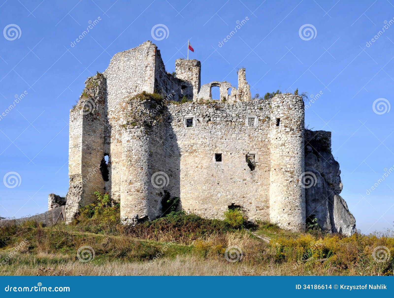 Ruinen Von Schloss Zamek Mirow Polen Stockfoto Bild Von Polen Zamek