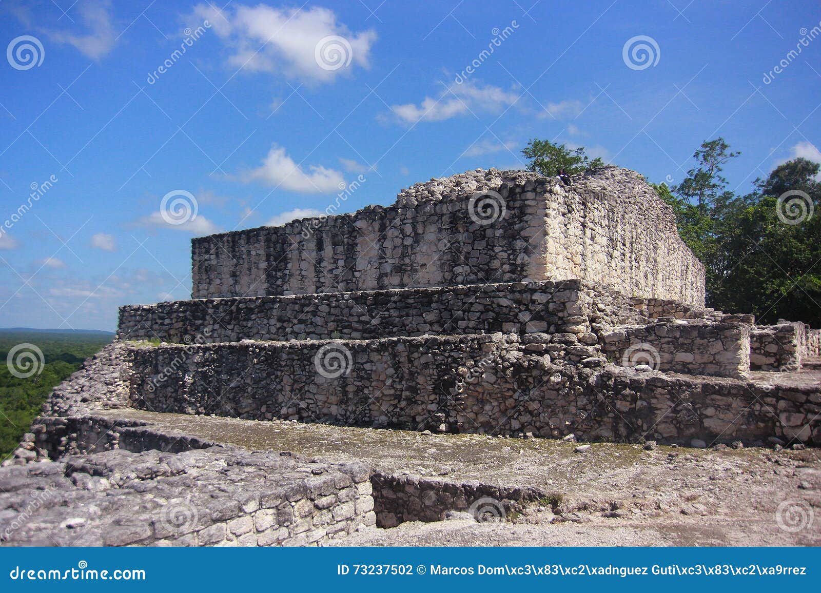 ruins of the ancient mayan city of calakmul