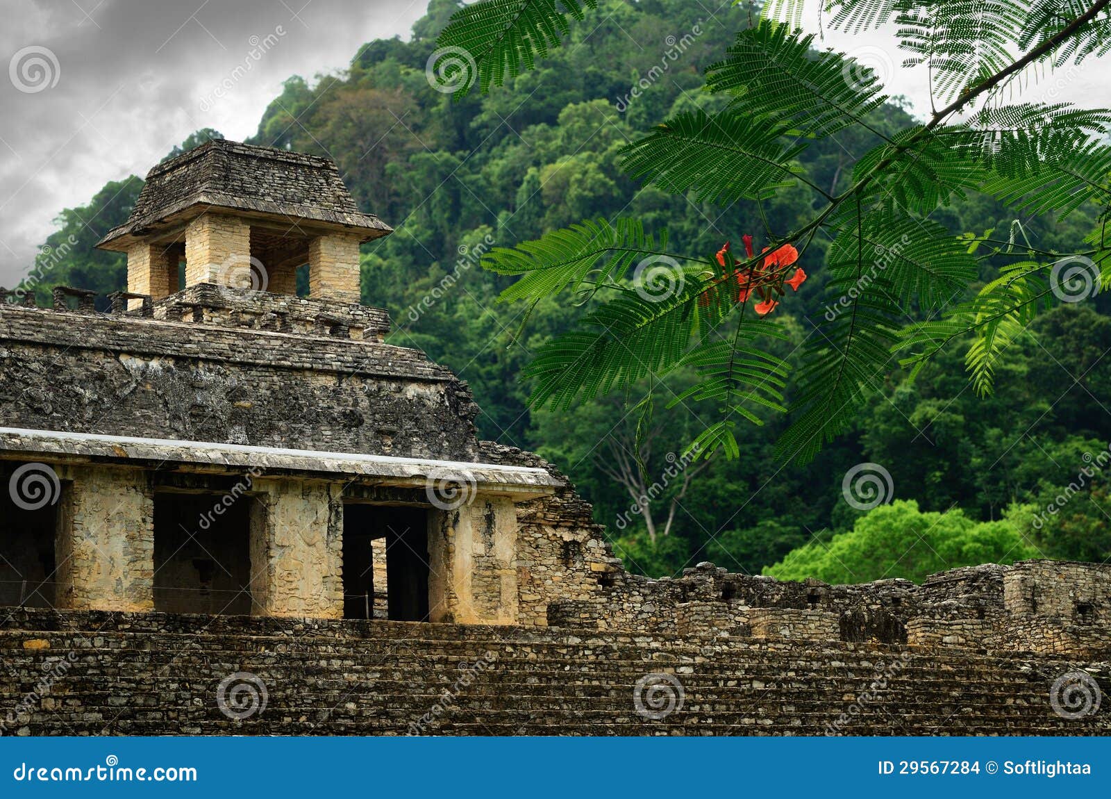 the ruins of the ancient mayan city of palenque, mexico
