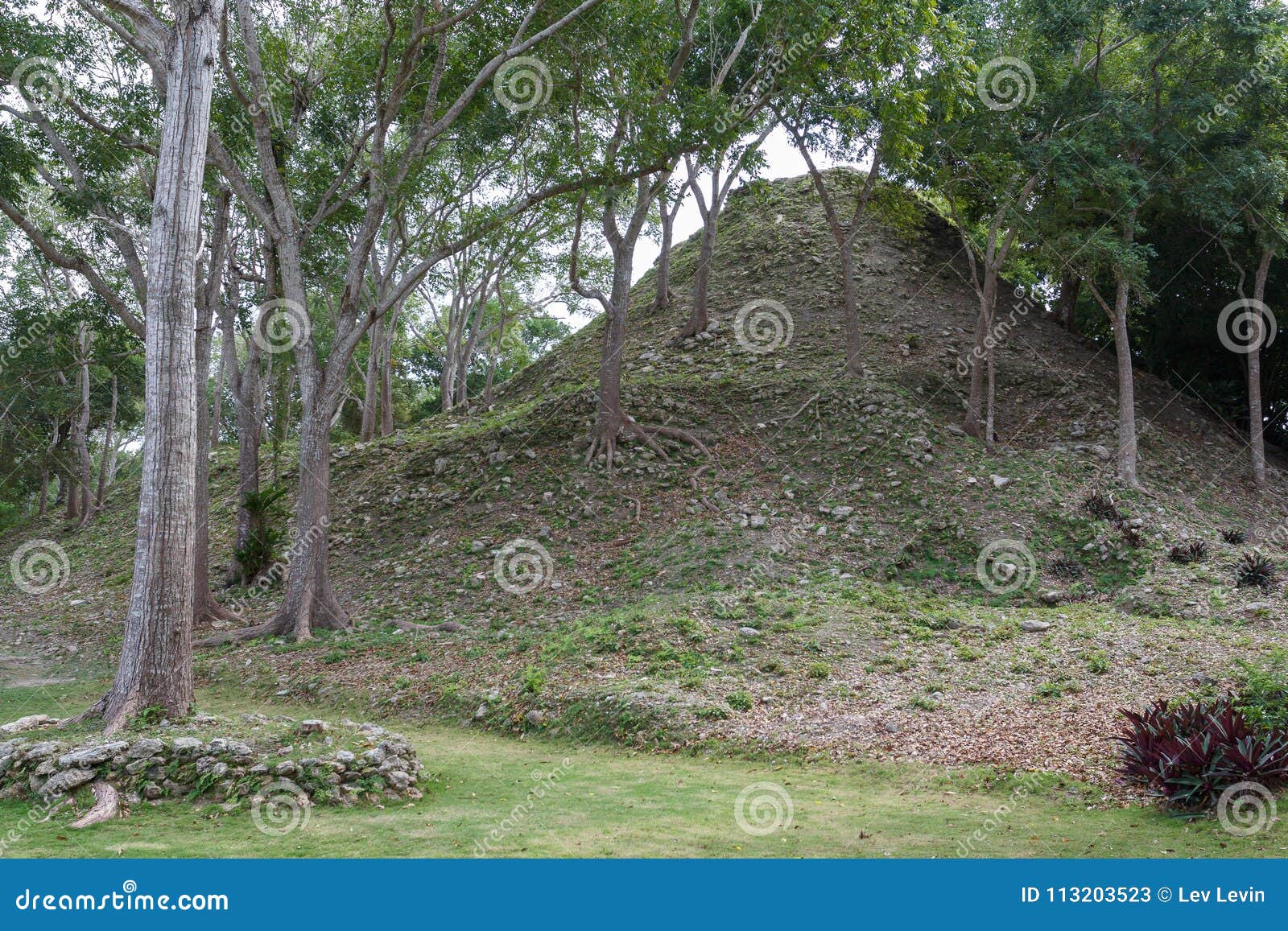 ruins of the ancient mayan town cerros