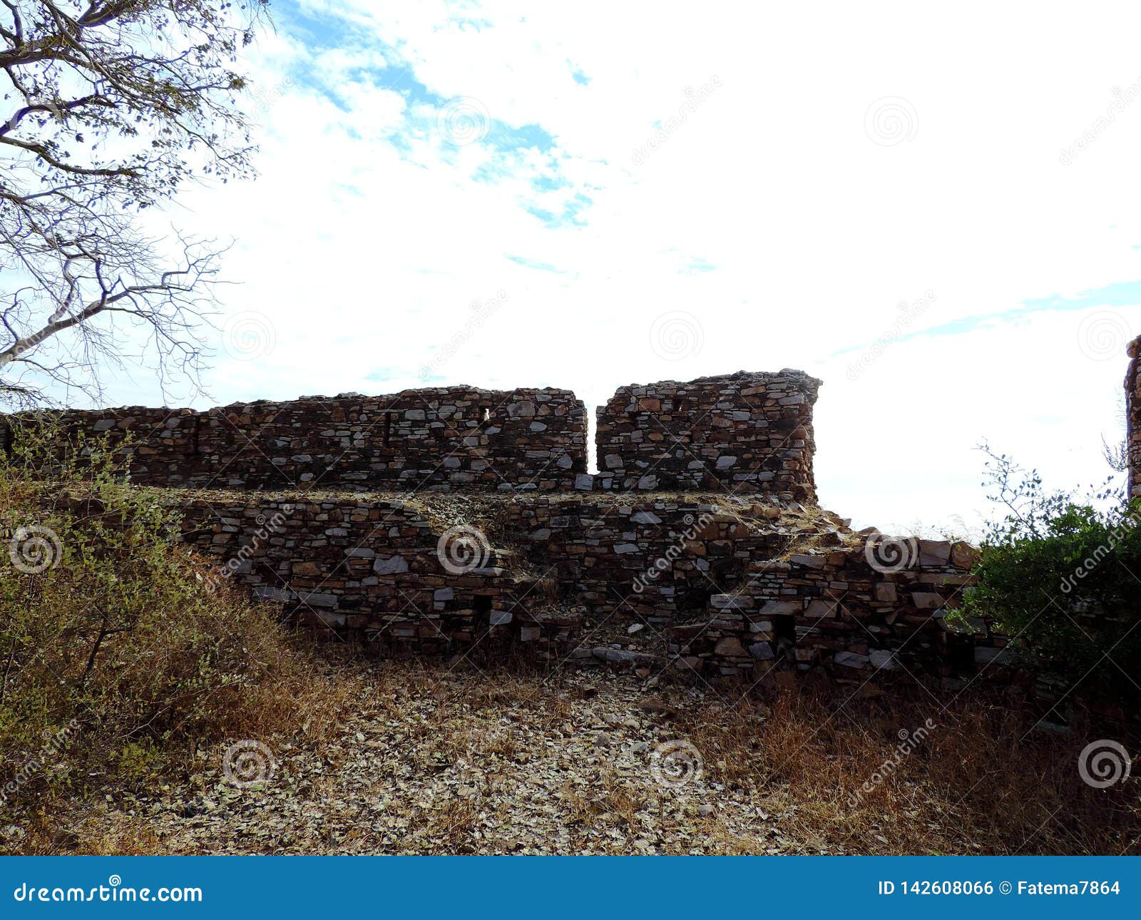 remants of the fort of king ratan singh in madhya pradesh, india