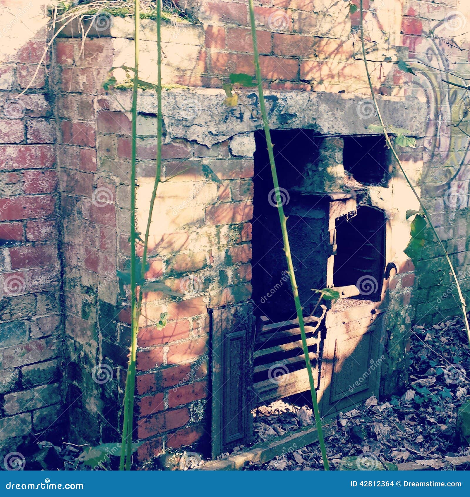Ruins stock photo. Image of fireplace, ruins, ruin, nature 42812364