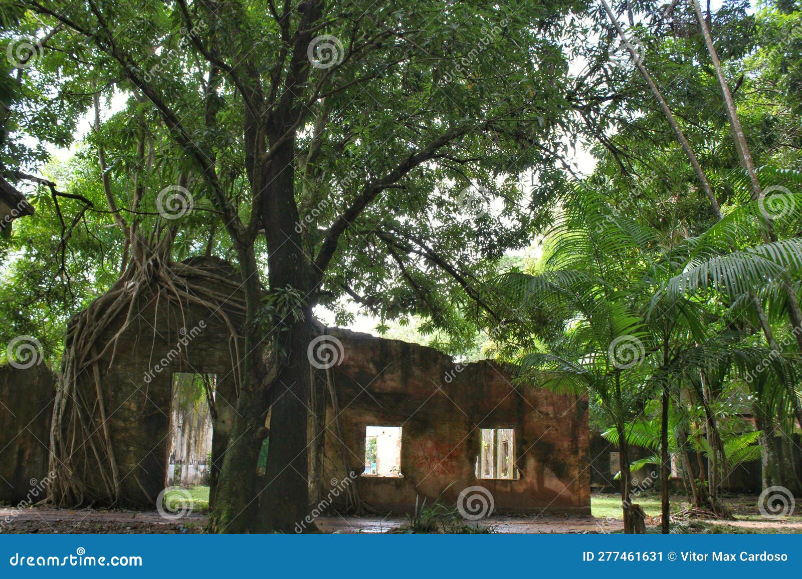 ruins of the old prison and nature reclaiming its space