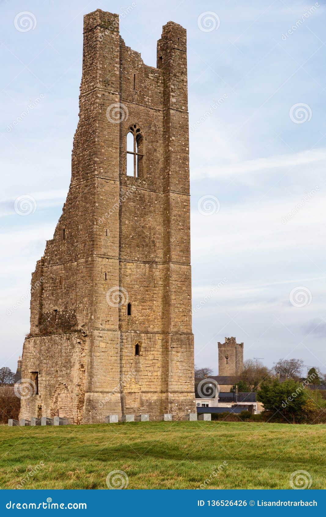 Ruins of Trim castle tower stock photo. Image of vegetation 136526426
