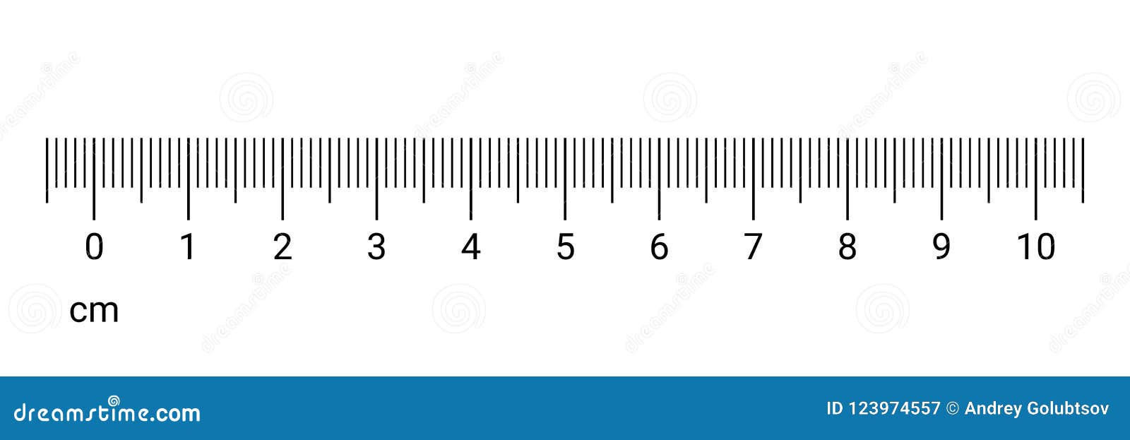 ruler cm measurement numbers vector scale stock vector