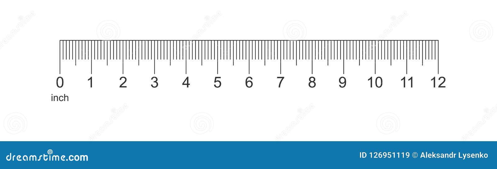 Wooden different size rulers 6 8 and 12 inch long Vector Image