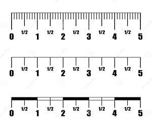 Ruler Inch Measurement Numbers Vector Scale CartoonDealer 123974567