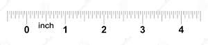 4 Inches On A Ruler Cheaper Than Retail Price Buy Clothing 