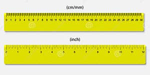 Rulers In Centimeters And Inches Vector Illustration CartoonDealer 