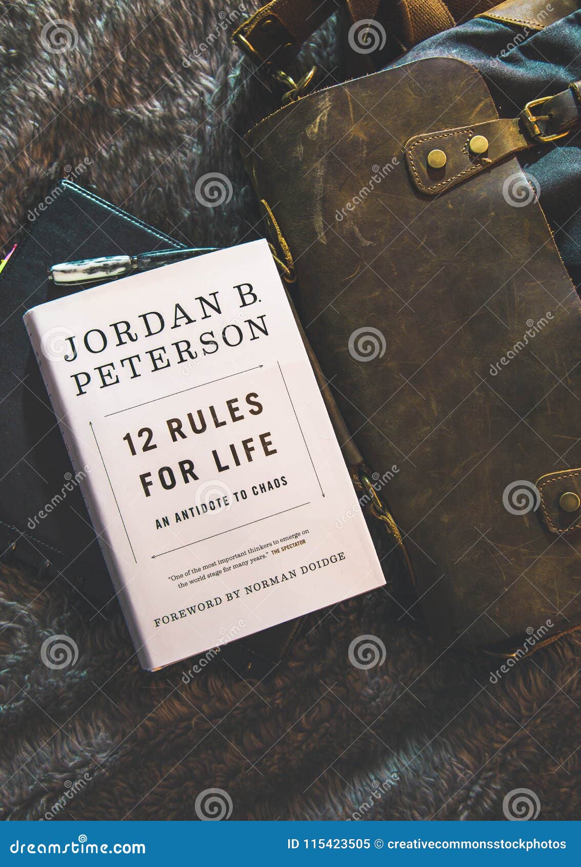 Plateau tyk trolley bus 12 Rules For Life By Jordan B. Peterson Book Brown Textile Picture. Image:  115423505