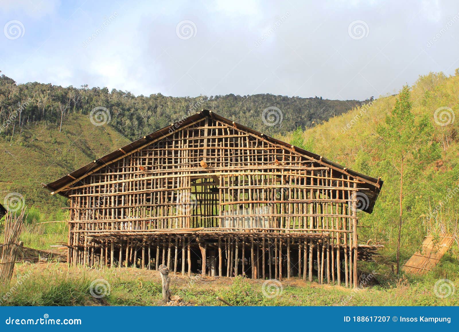 rumah kaki seribu, arfak mountains, papua