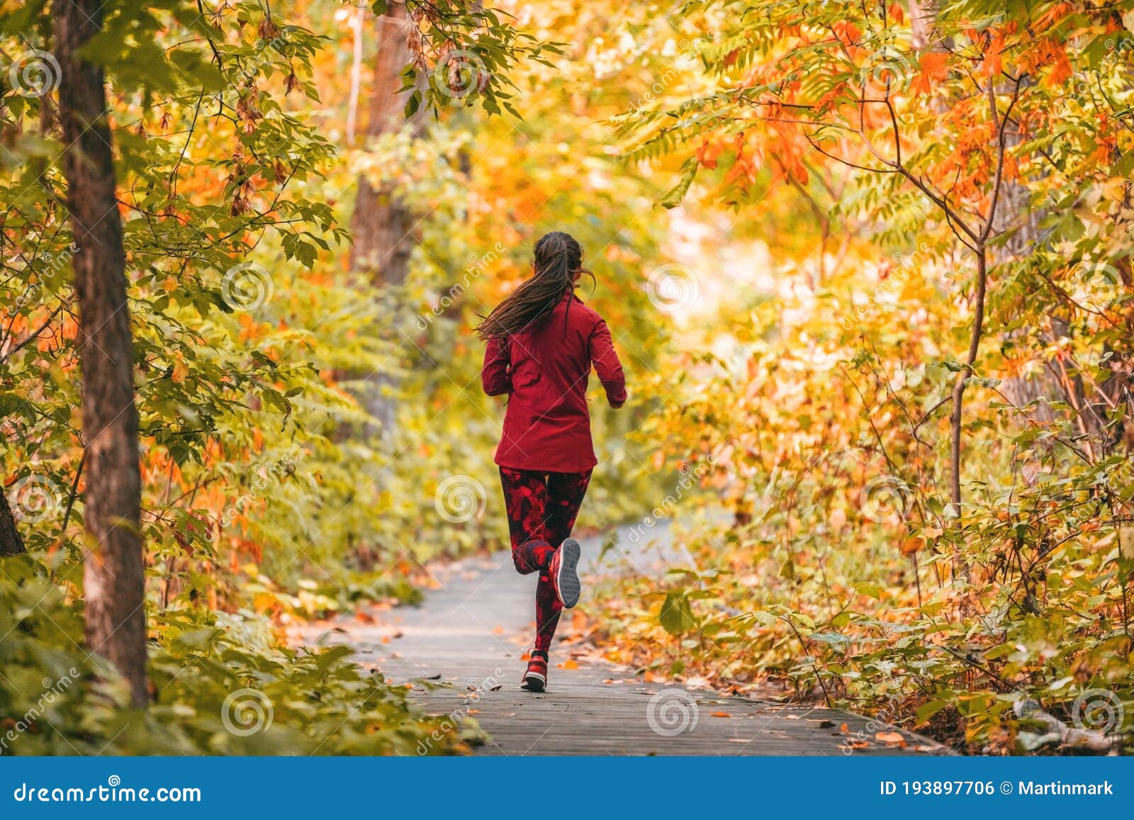 Run Woman Jogging in Fall Autumn Foliage Nature in Forest. Trail Running Runner Athlete Training Stock Photo - Image of forest: 193897706