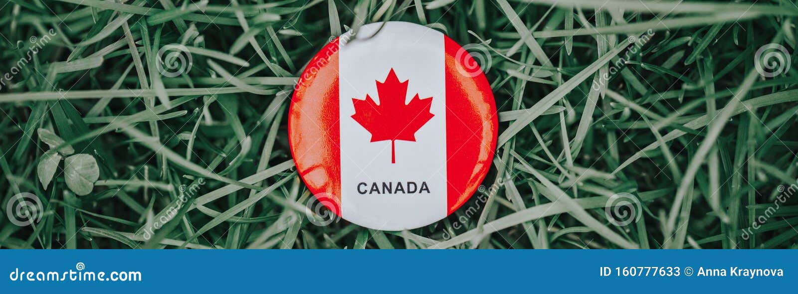 Rundcirkelbricka med rött vitt kanadensiskt flaggblad som ligger i gräs på grön skogsbakgrund Sidhuvud för webbanderoll. Rundcirkelbricka med rött vitt kanadensiskt flaggblad som ligger i gräs på grön skogsbakgrund Webbsidans sidhuvud för webbplatsen Nationellt firande av Kanadas semesterdag