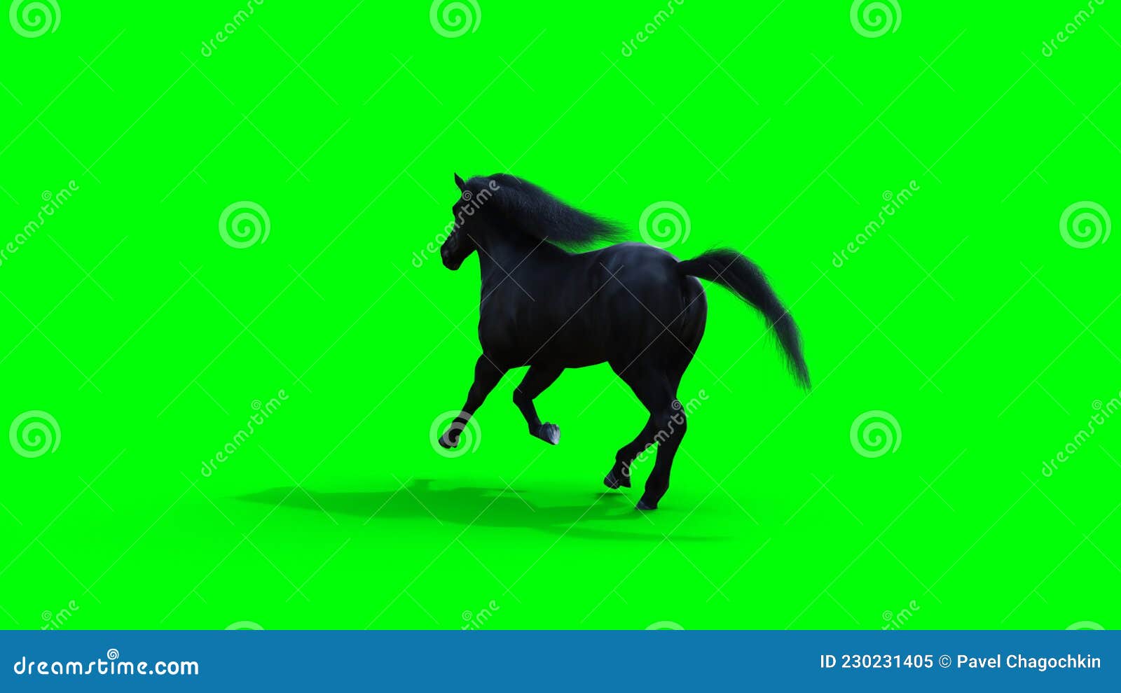 Runing Black Horse. Green Screen Isolate. 3d Rendering. Stock