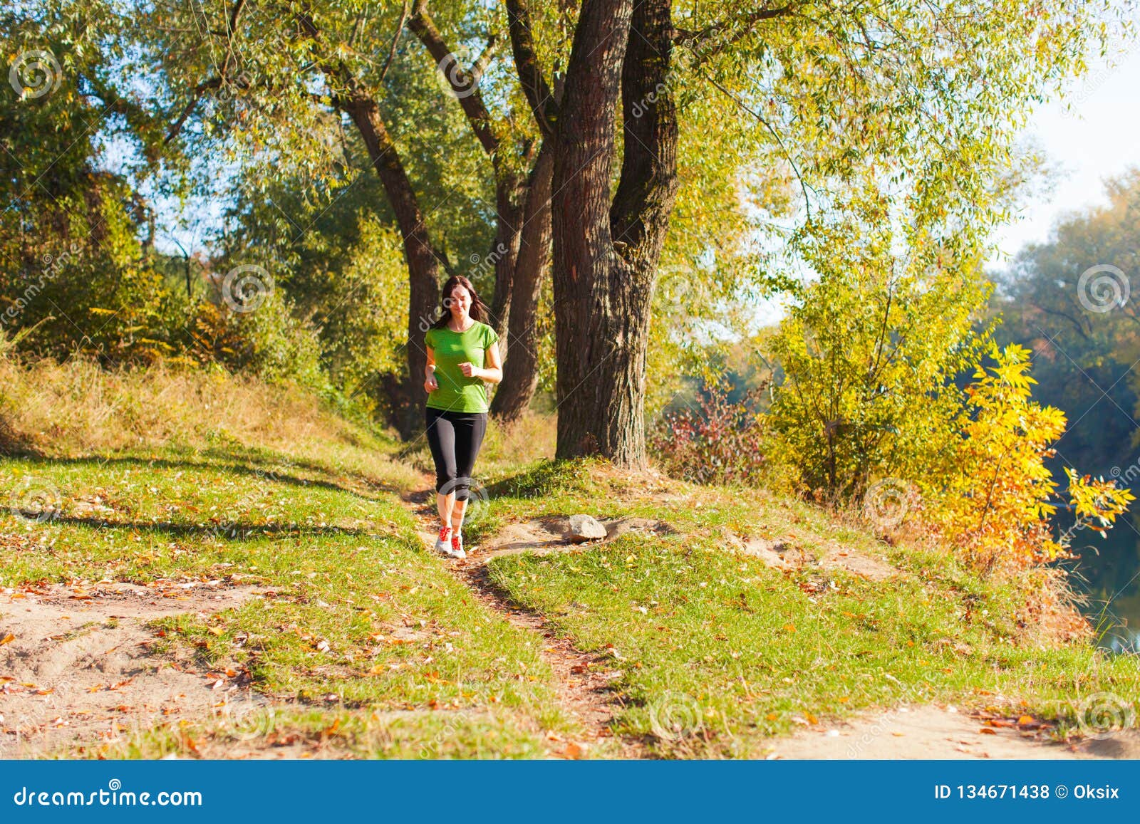 Runner Woman Jogging in Sunny Autumn Forest Stock Photo - Image of ...