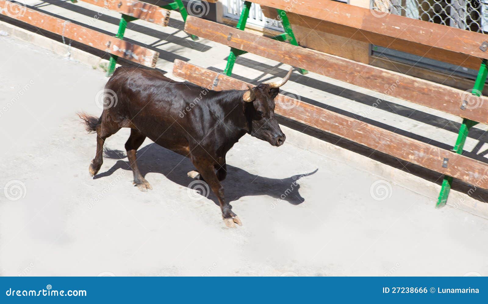 running of the bulls at street fest in spain