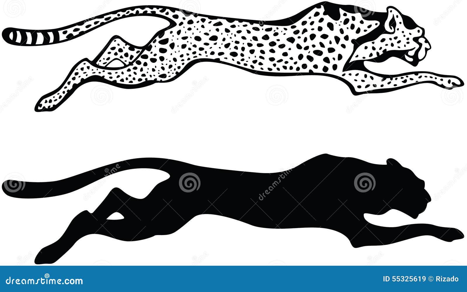 Download Running Cheetah stock vector. Illustration of creature - 55325619