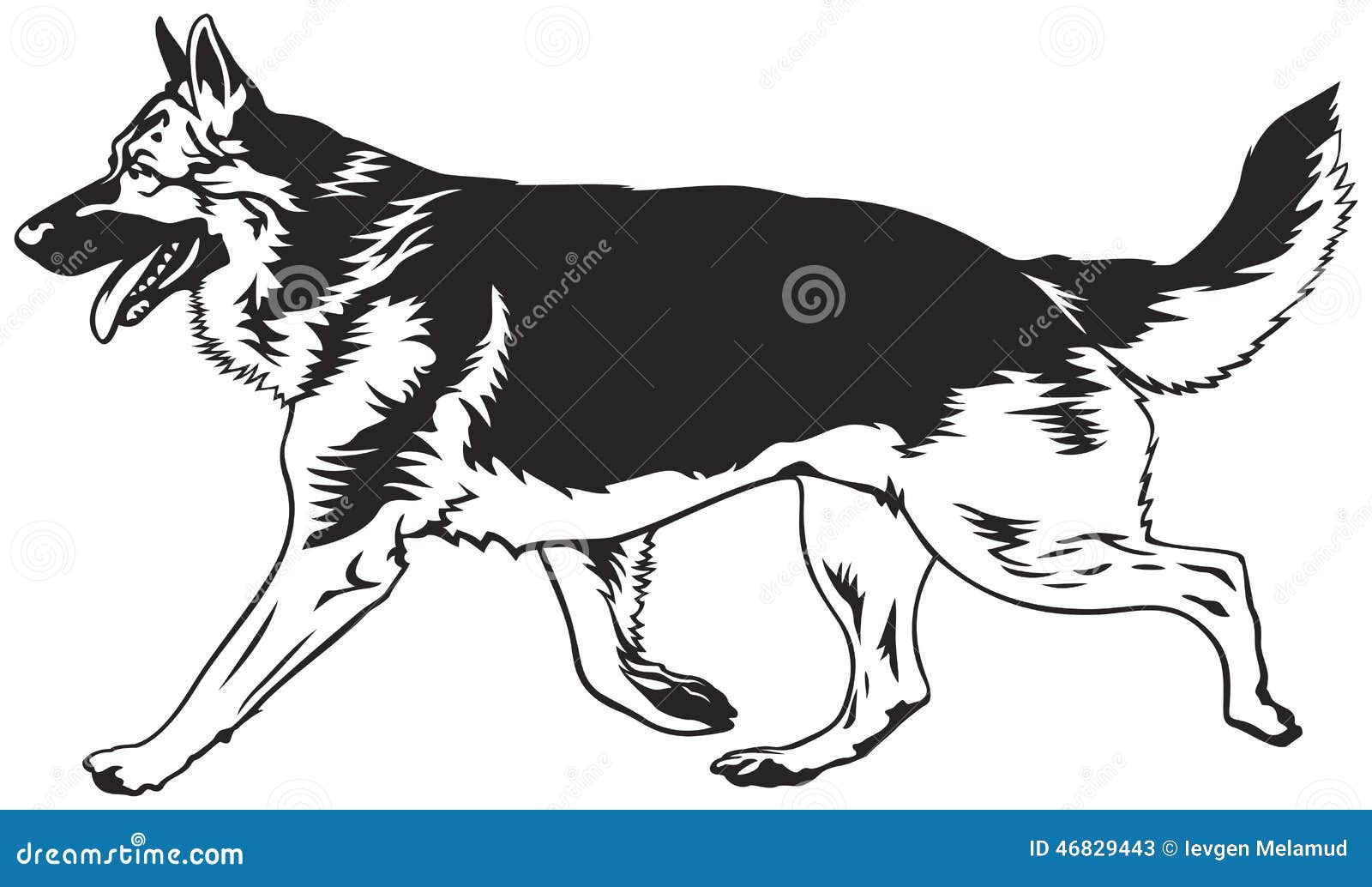 for language strength symbol sign from sign breed dog symbol dog the shepherd show vector illustration for language strength symbol sign from sign breed dog symbol dog the shepherd show vector illustration