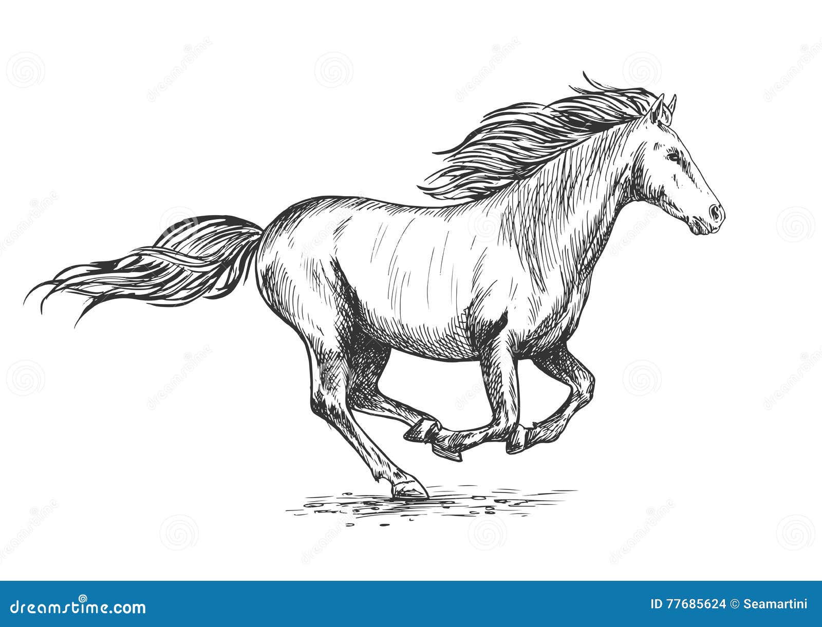 running gallop white horse sketch portrait vector mustang stallion freely rushing against wind waving mane tail 77685624